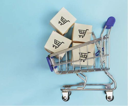 市場細分驅動下的得物 深化經營現狀、挑戰與未來電商平臺突破之路