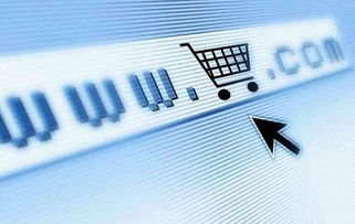 我市新出臺(tái)激勵(lì)措施，力促電子商務(wù)平臺(tái)開(kāi)發(fā)與運(yùn)營(yíng)發(fā)展